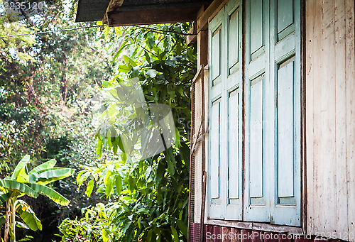 Image of Close window of old henhouse with green garden