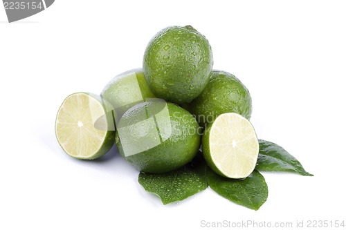 Image of limes isolated