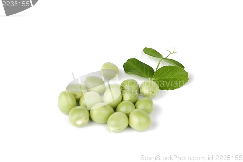 Image of pea with green leaf