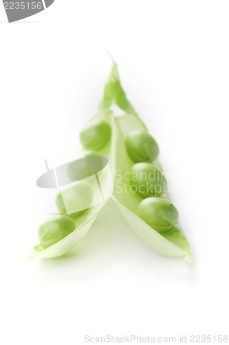 Image of green pea