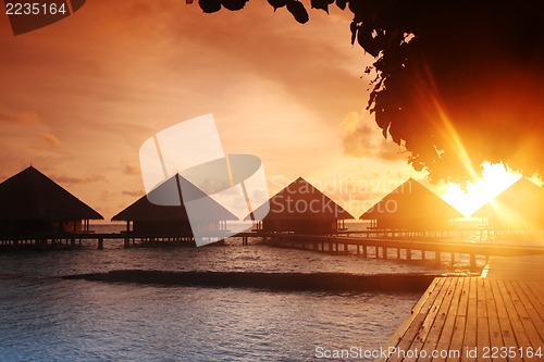 Image of tropical island sunset