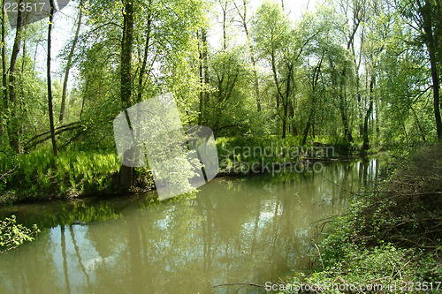 Image of meadow landscape