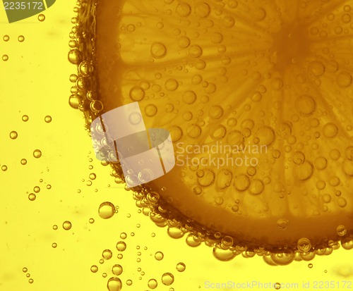 Image of slice of lemon