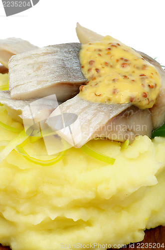 Image of Herring Snack