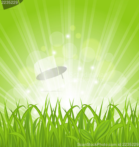 Image of Spring background with green grass
