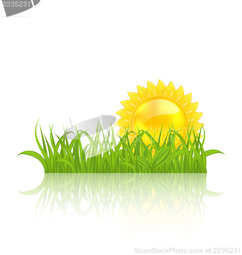 Image of Meadow with green grass and yellow sun