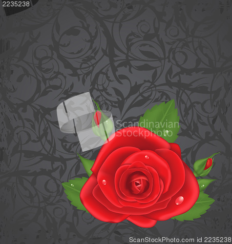 Image of Close-up red rose isolated on grunge floral background