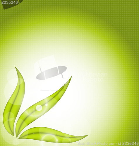 Image of Nature background with green leaves