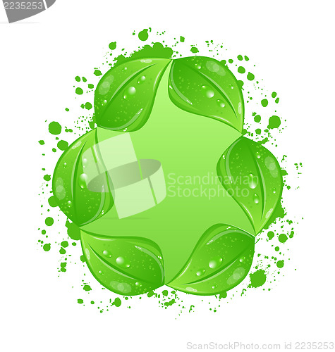 Image of Green eco leaves label isolated on white background