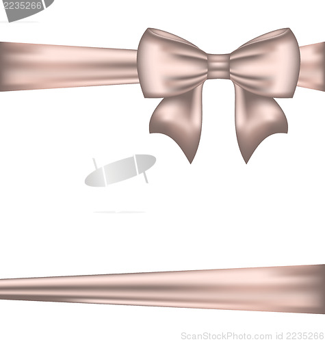 Image of Elegant bow for packing gift
