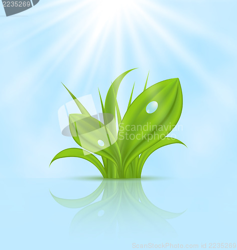 Image of Spring wallpaper with green grass