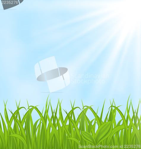 Image of Spring background with green grass