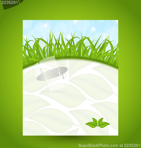 Image of Ecology card with green grass and eco leaves