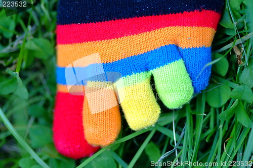 Image of toesocks