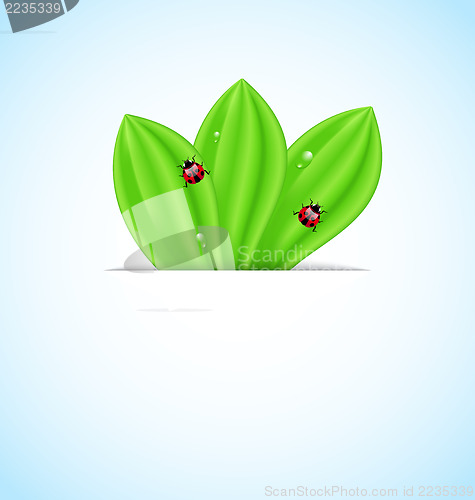 Image of Green leaves ecology fresh background 