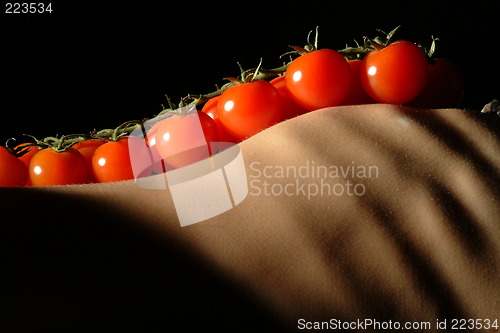 Image of  tomatoes on torso