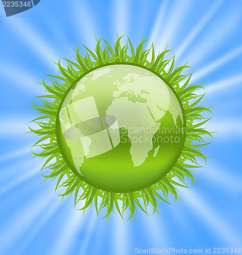 Image of Icon earth with grass, environment symbol