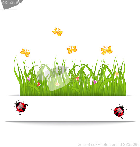 Image of Spring card with grass, flower, butterfly, ladybug