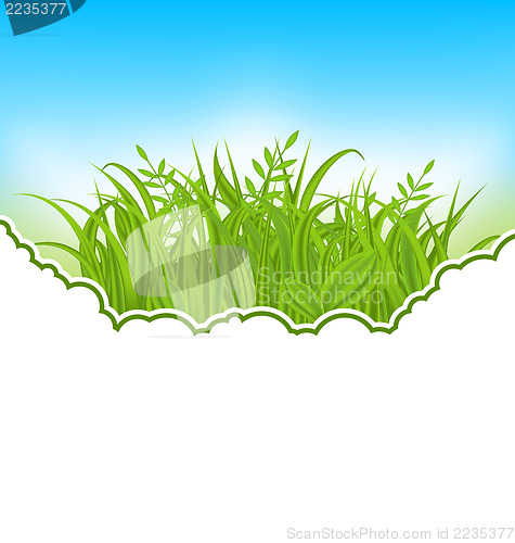 Image of Nature card with green grass