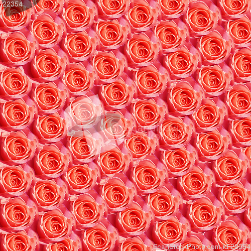 Image of Red Roses