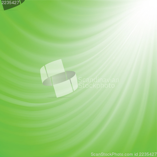Image of green background