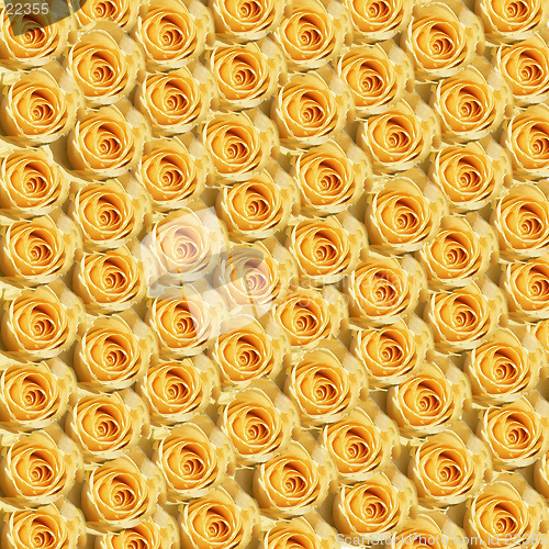 Image of Yellow Roses