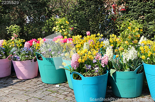 Image of Sunny terrace with a lot of flowers