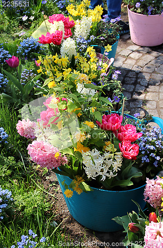 Image of Sunny terrace with a lot of flowers