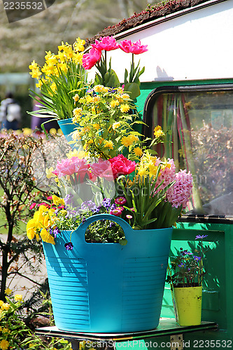 Image of Sunny terrace with a lot of flowers