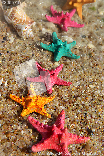 Image of Starfishes on the beach
