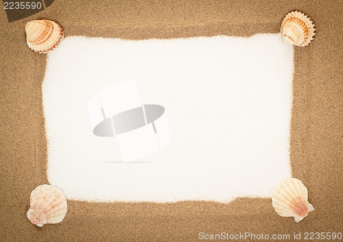 Image of sea shells with sand and white paper as background 