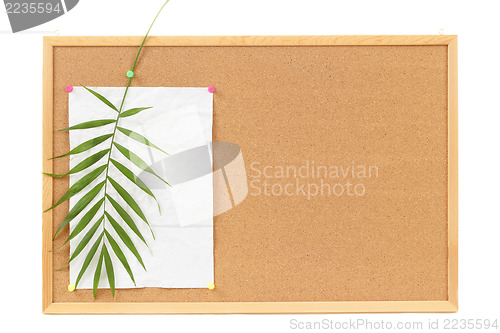 Image of Background with blank crumpled paper and palm leavevacation message