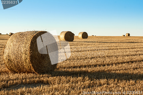 Image of hay bale in the foreground of rural field 
