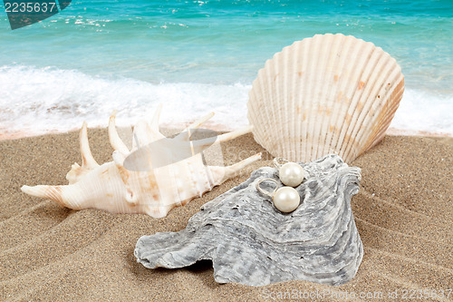 Image of two pearl earrings and shells on sand