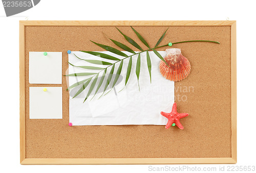 Image of Background with blank crumpled paper, seashells, palm leave and seashell