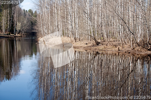 Image of spring landscape