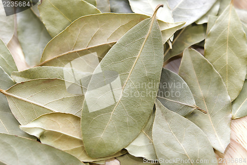 Image of  Bay Leaves
