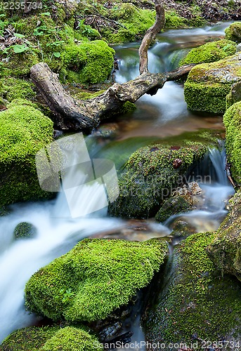 Image of Water flowing over rocks