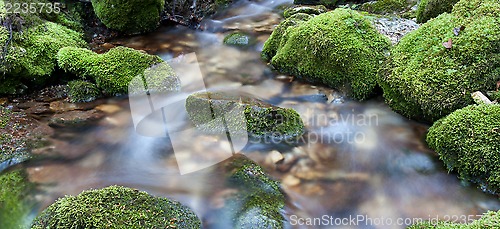 Image of Water over rocks