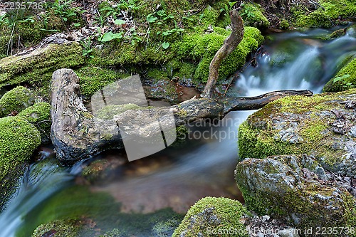 Image of Water flowing over rocks