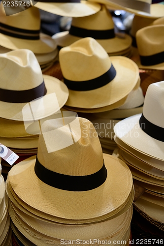 Image of Hats