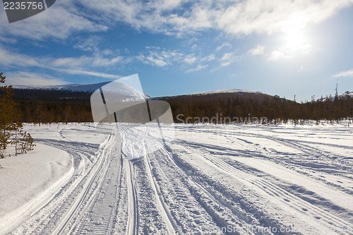 Image of Traces of snowmobiles on forest clearing