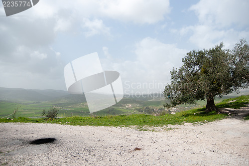 Image of Sebastia archeology ancient ruins