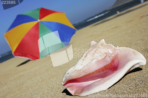Image of Beach