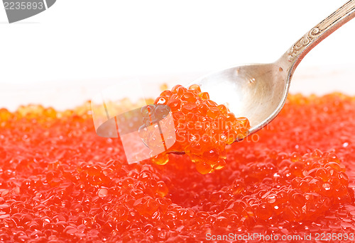 Image of Red salted caviar with spoon