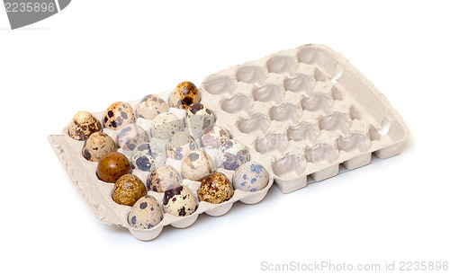 Image of Speckled quail eggs in a carton box