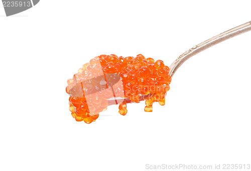 Image of Red salted caviar with spoon