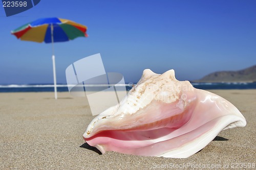 Image of Tropical Beach