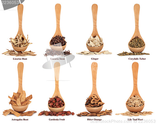 Image of Chinese Herbal Medicine