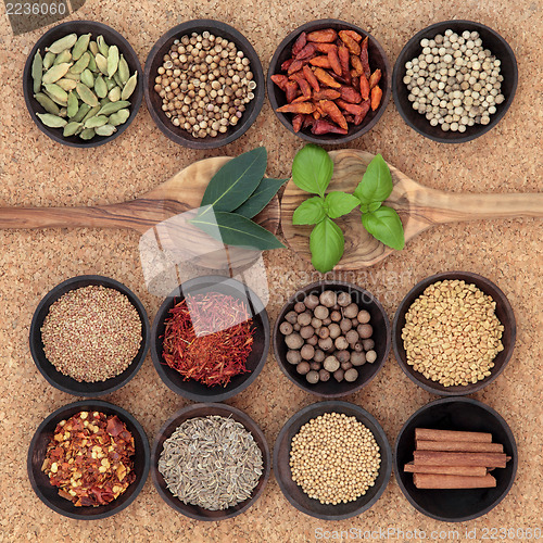 Image of Spice and Herb Sampler